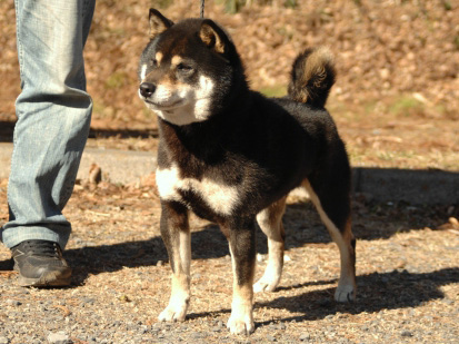 �N���n�i�S�E