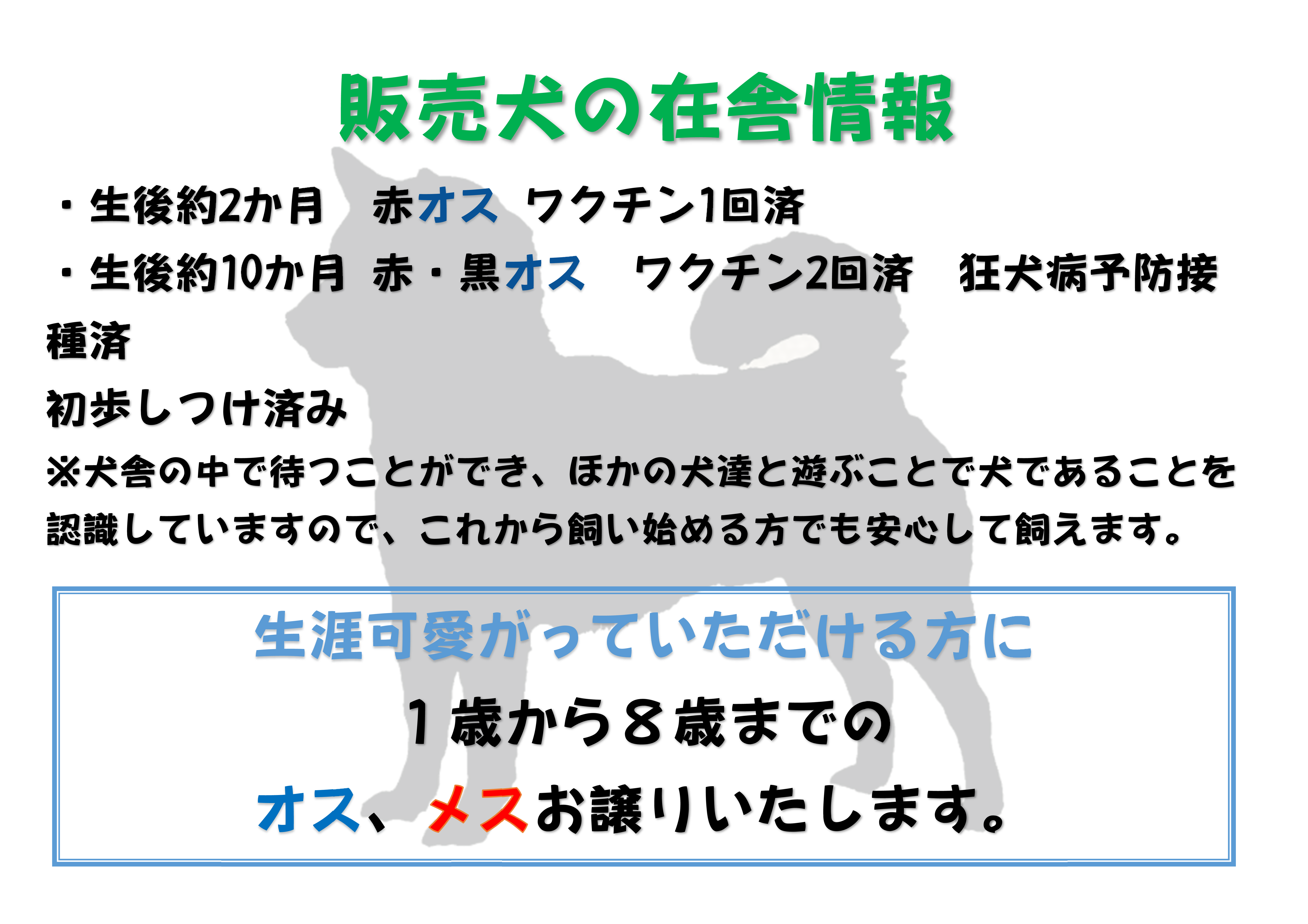 �����N:���͌��X�@�G�N��